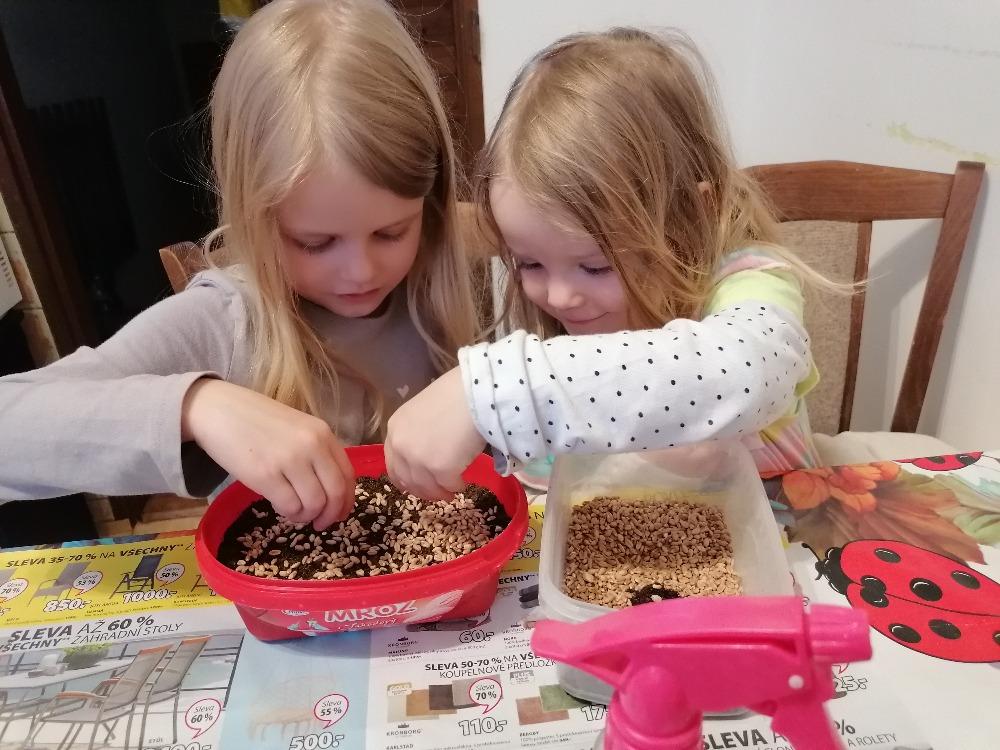 Distanční výuka u předškoláčků - 30