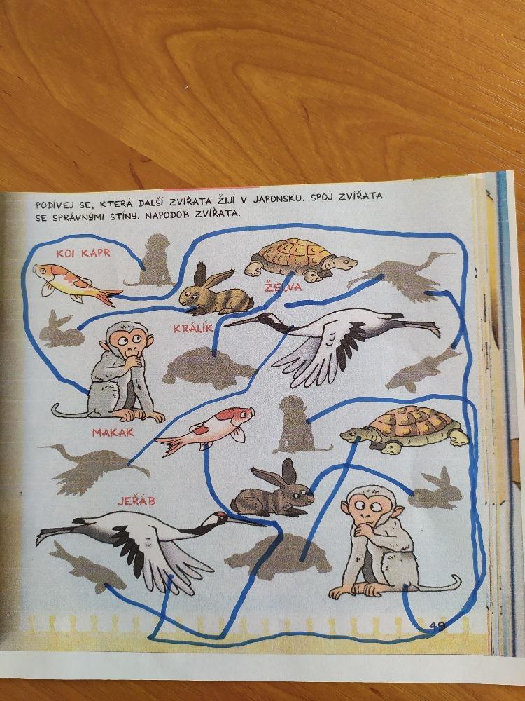 Distanční výuka u předškoláčků - 39