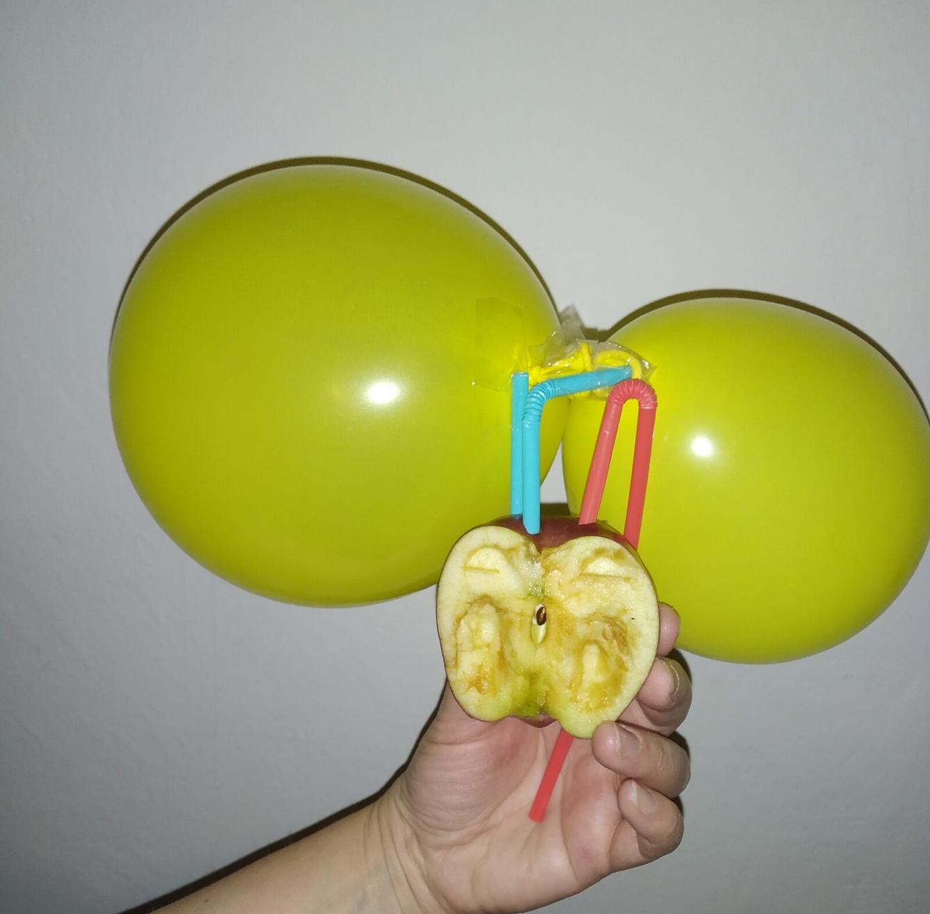 Biologie člověka - 8. třída - 5