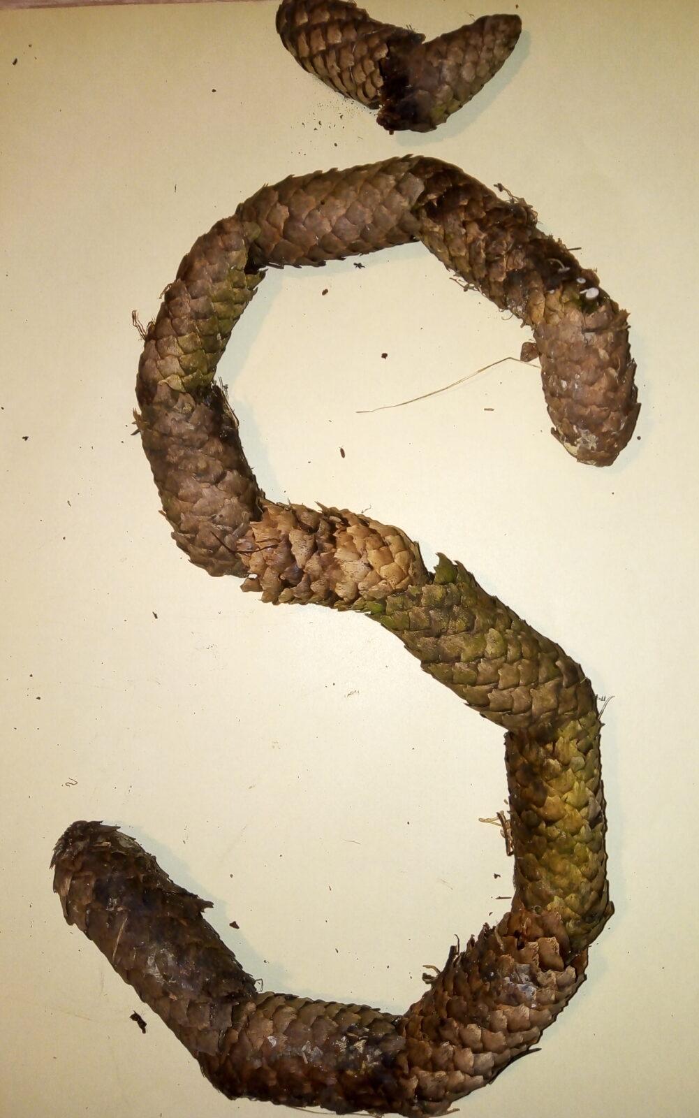 14. 3. distanční výuka u prvňáčků - 15