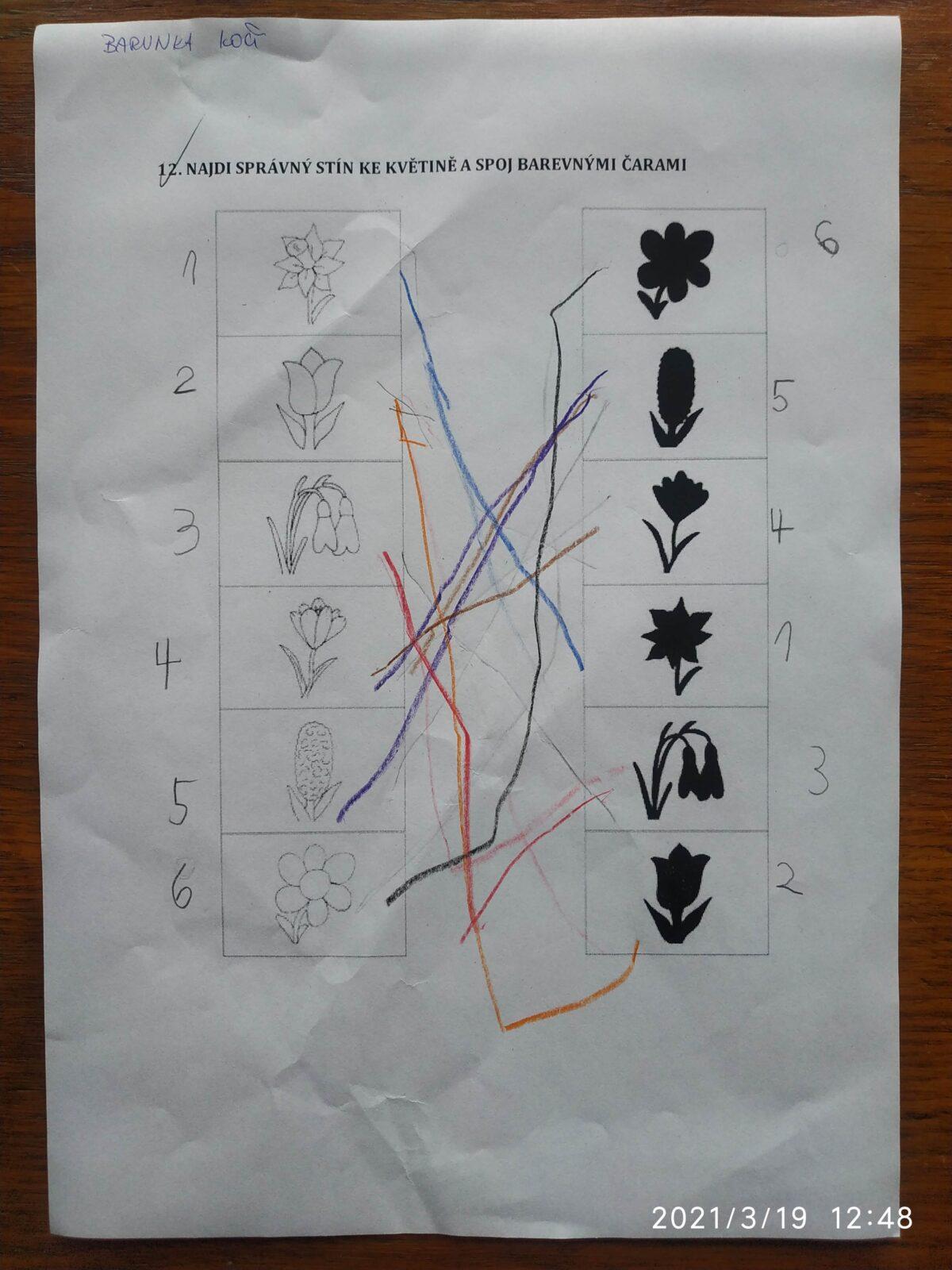 Distanční výuka v MŠ Kamarád (Jaro přišlo do vsi - předškoláci) :-) - 43