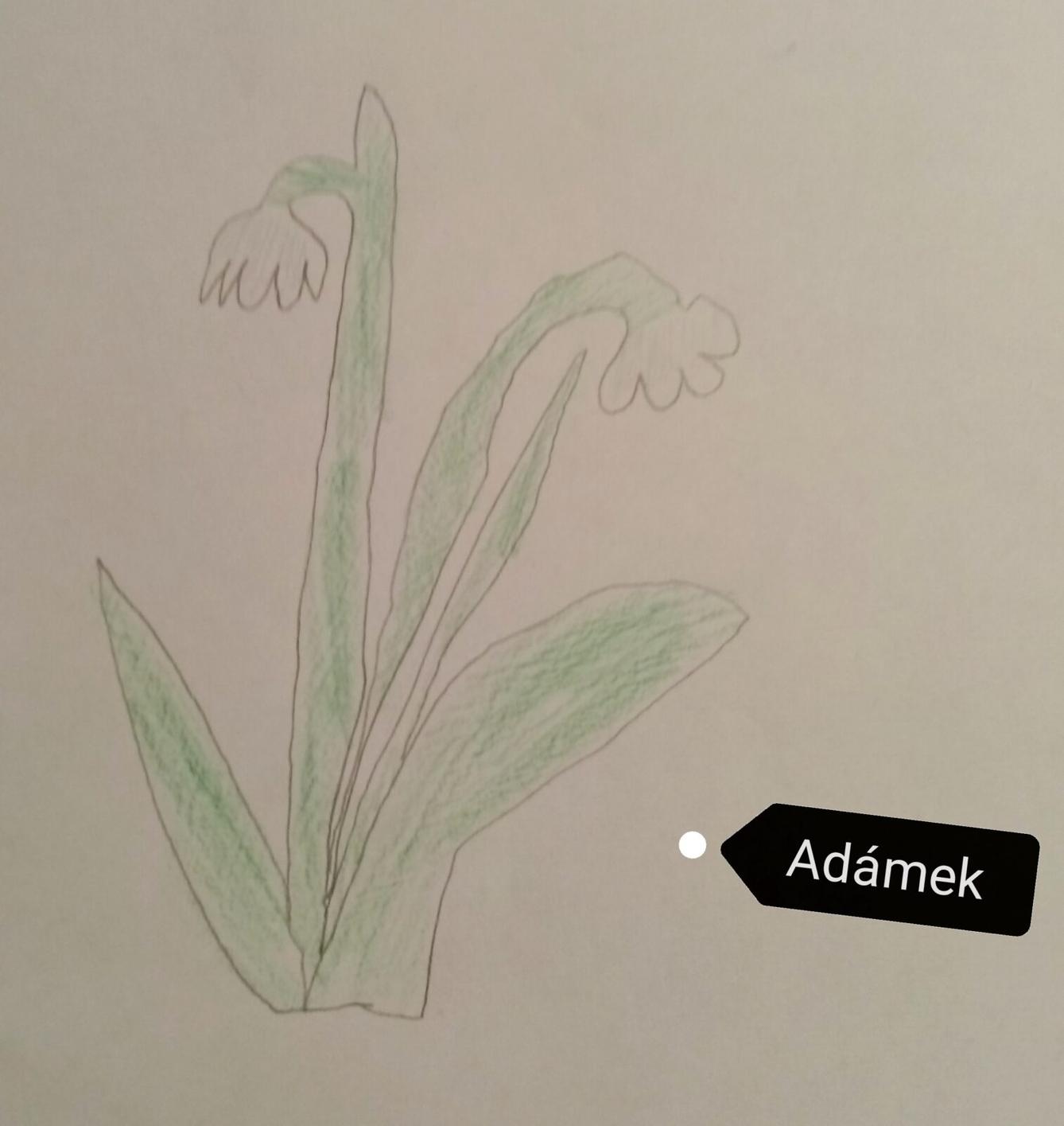 21. 3. Distanční výuka u prvňáčků - 18