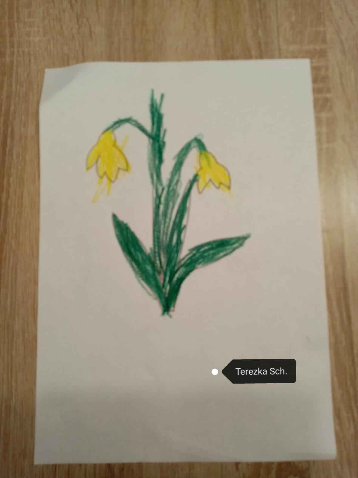 Jarní tvoření 3. týden - 5