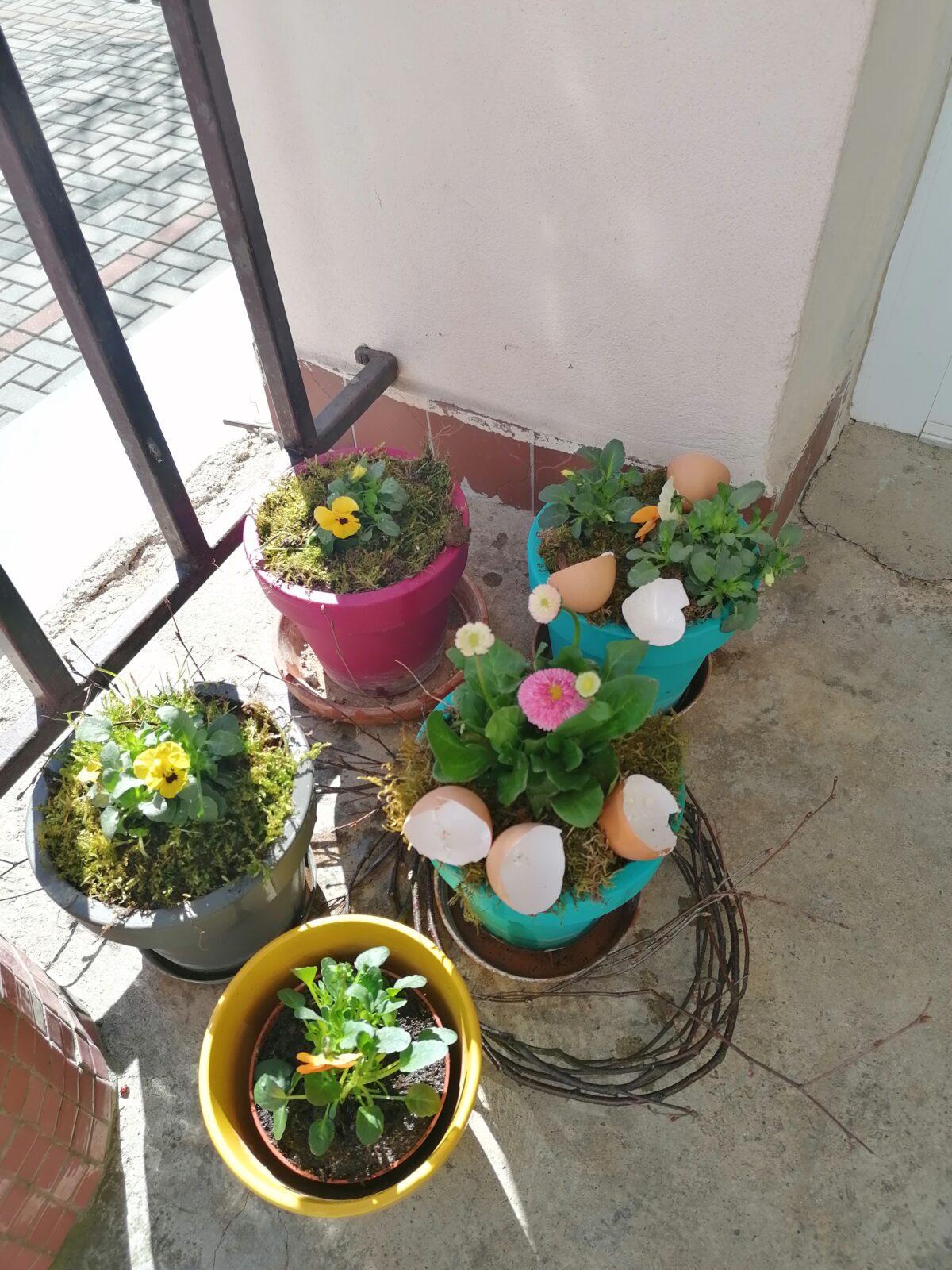 Jaro v naší MŠ :-) - 4