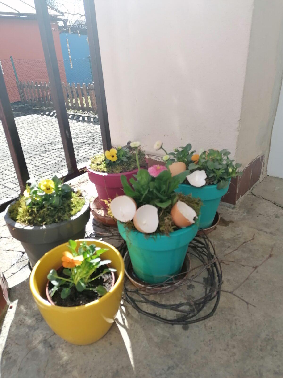 Jaro v naší MŠ :-) - 6