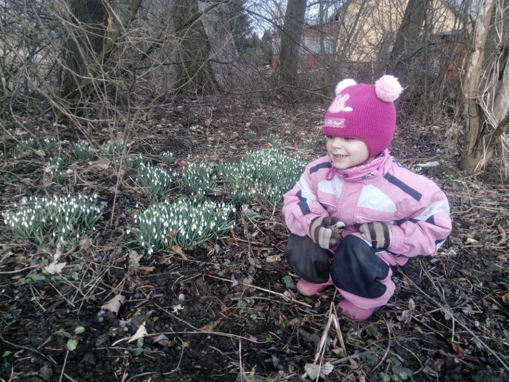 Distanční výuka (O zakletých stromech) - mladší děti :-) - 9