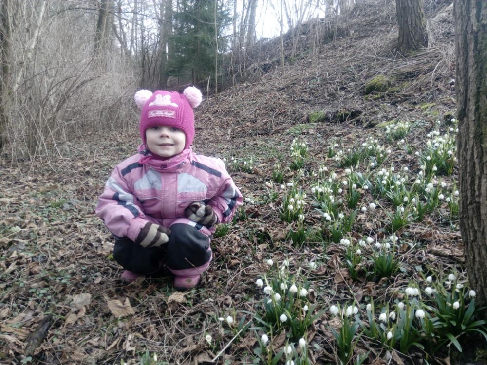 Distanční výuka (O zakletých stromech) - mladší děti :-) - 12