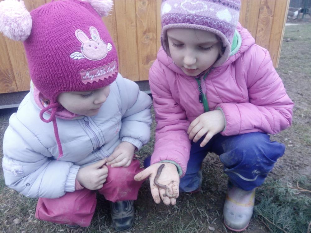 Distanční výuka (O zakletých stromech) - mladší děti :-) - 25