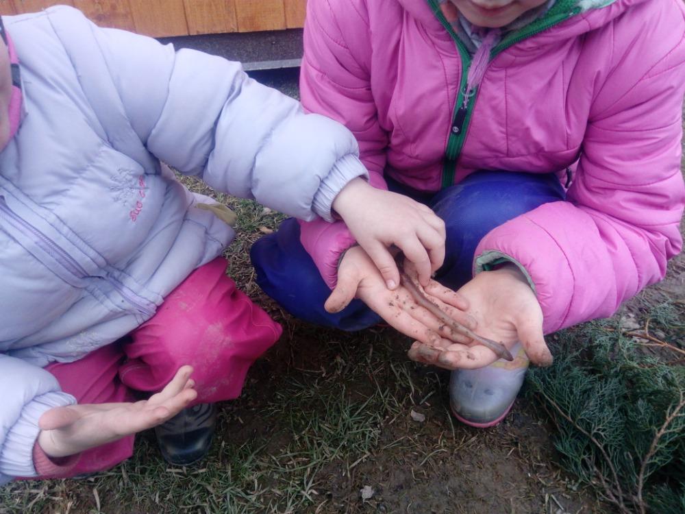 Distanční výuka (O zakletých stromech) - mladší děti :-) - 26