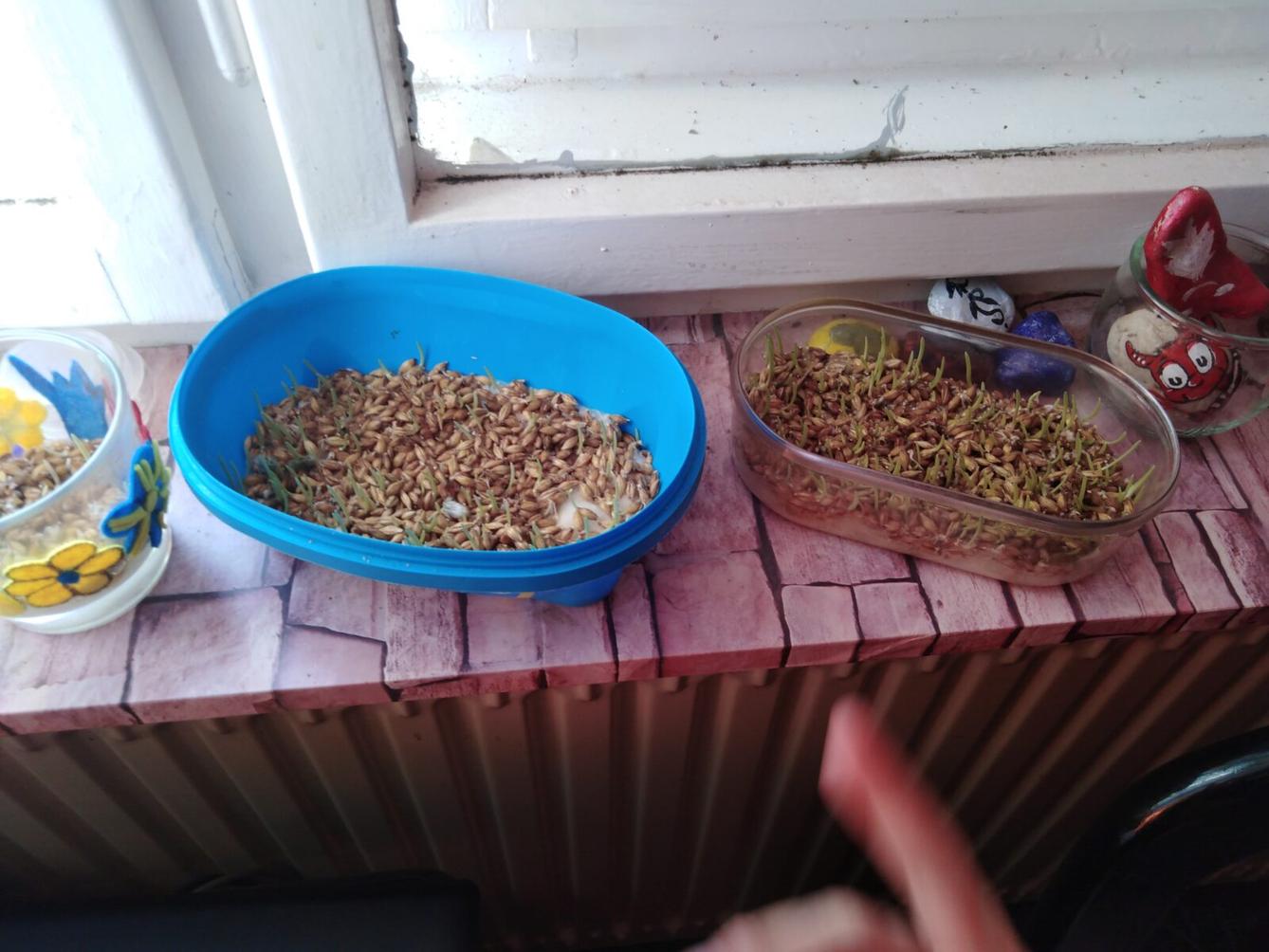 DISTANČNÍ VÝUKA V MŠ KAMARÁD (O třech zakletých stromech)- předškoláci - 28