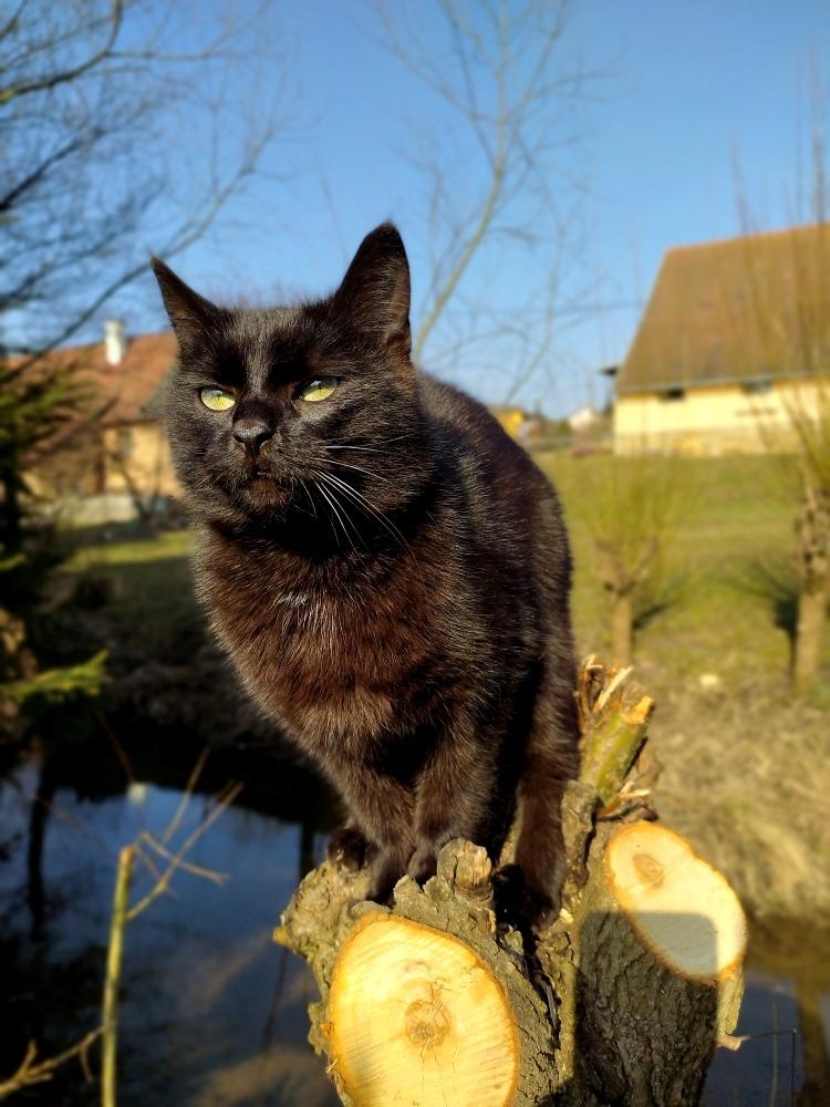 28. 3. Distanční výuka u prvňáčků - 20