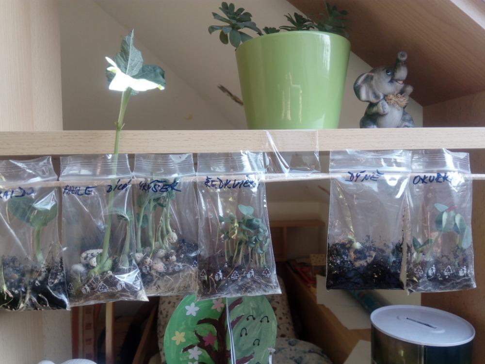 Distanční výuka MŠ kamarád - "MALOVANÉ VAJÍČKO" - předškoláci - 9