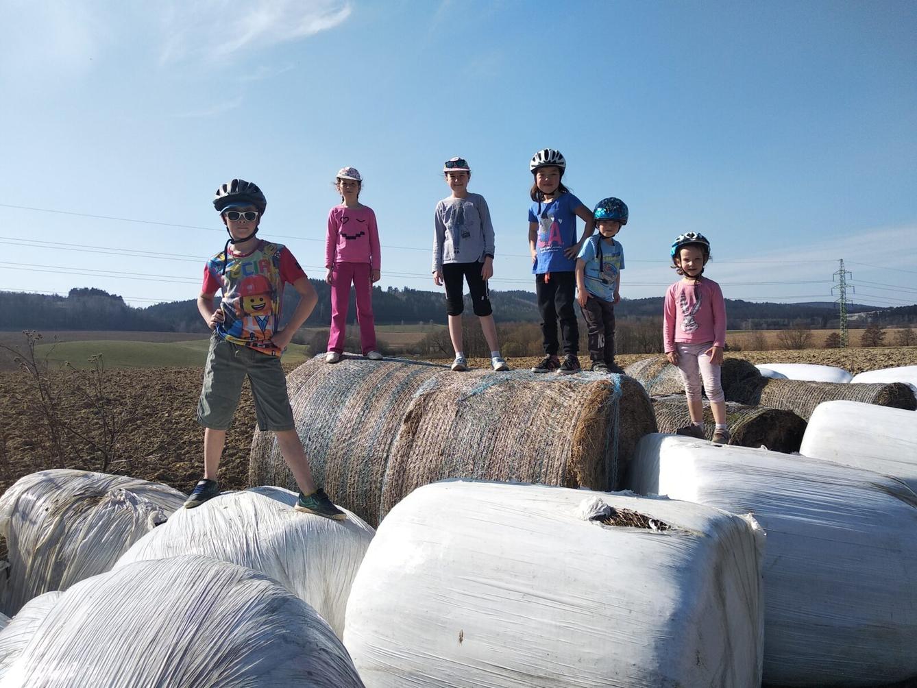 Distanční výuka v MŠ Kamarád - "Malované vajíčko" - mladší děti - 22