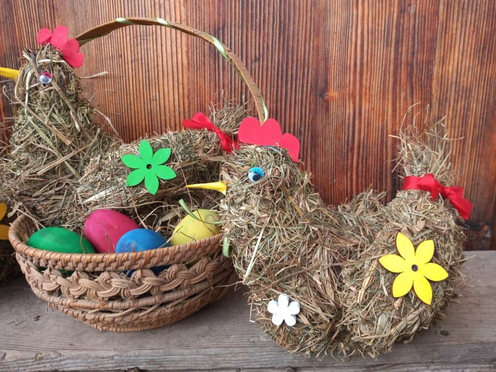 Jarní aktivity - 5. týden - 11