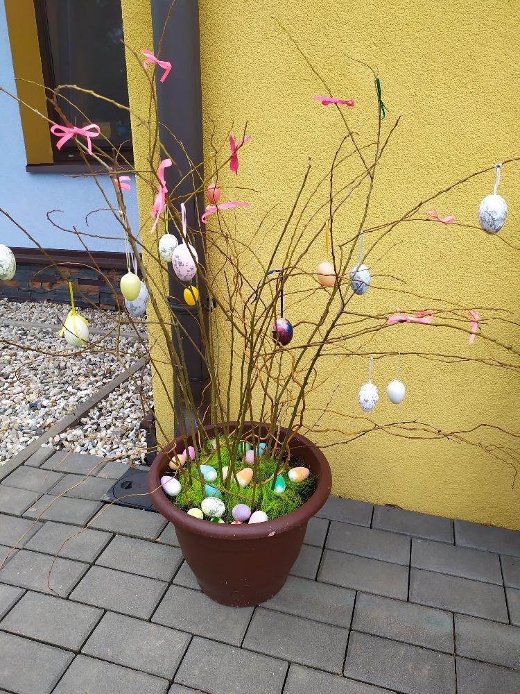 4. týden - Distanční výuka předškoláků i aktivity ostatních dětí - 57