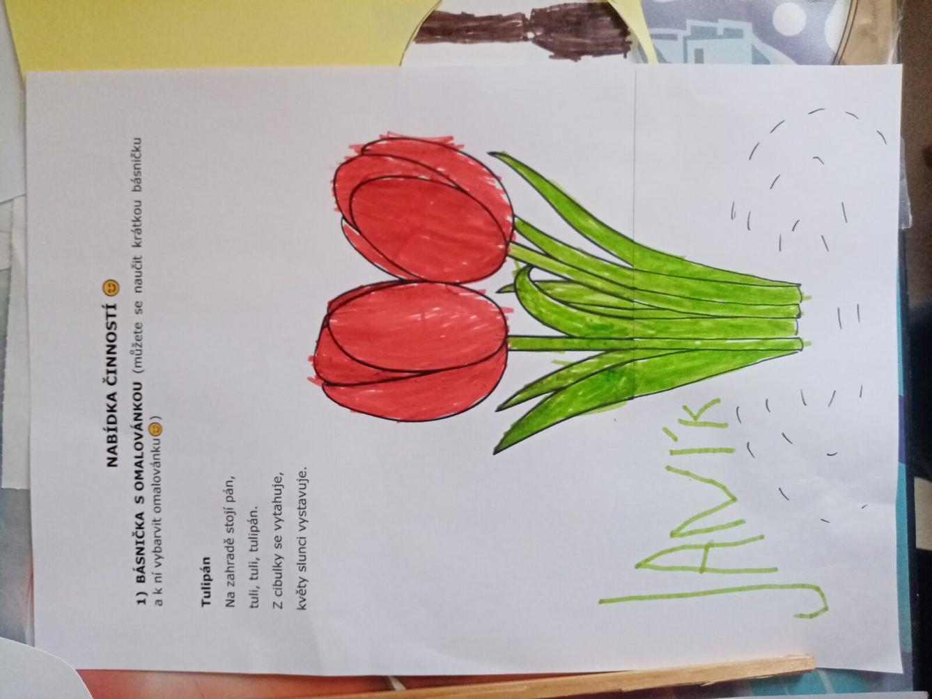 Distanční výuka - "Jarní louka, pole" (mladší děti) :-) - 9