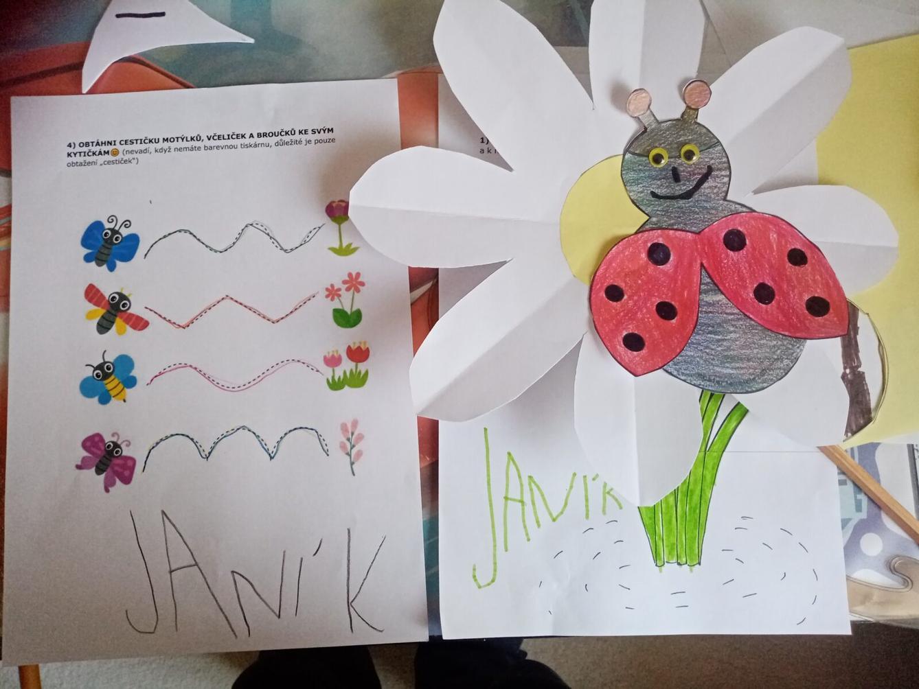 Distanční výuka - "Jarní louka, pole" (mladší děti) :-) - 10