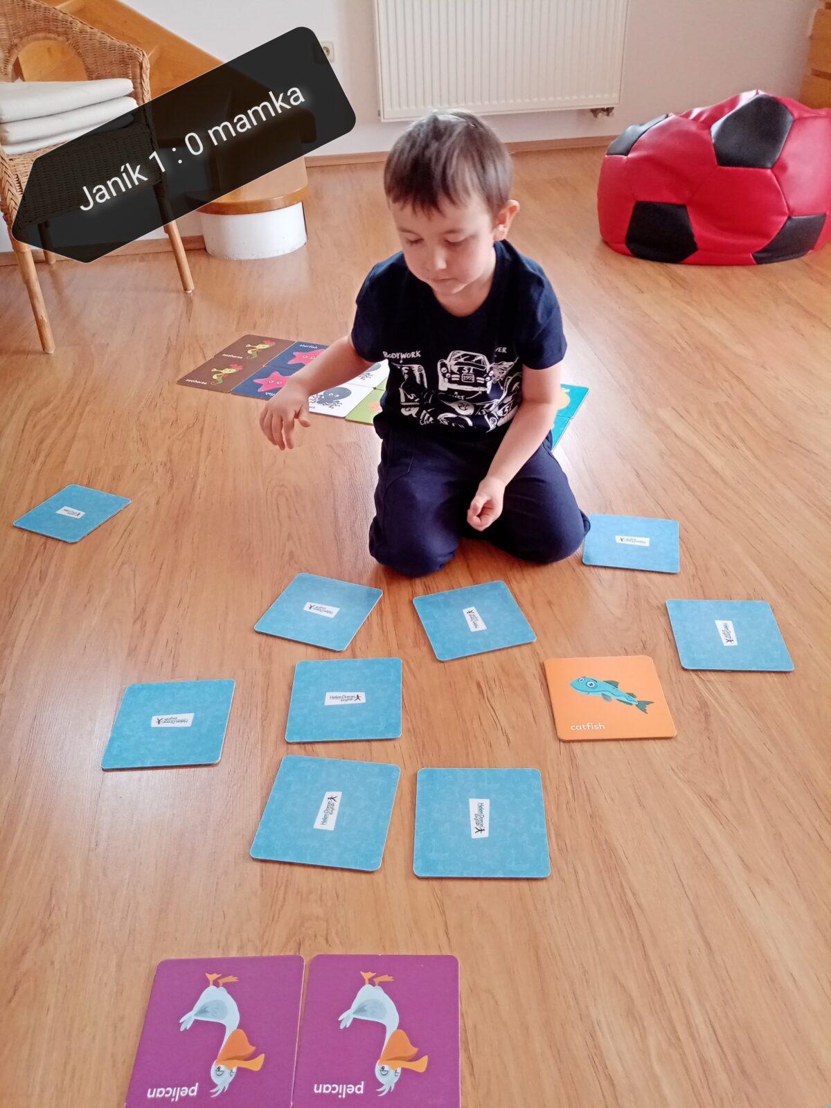 Distanční výuka - "Jarní louka, pole" (mladší děti) :-) - 12