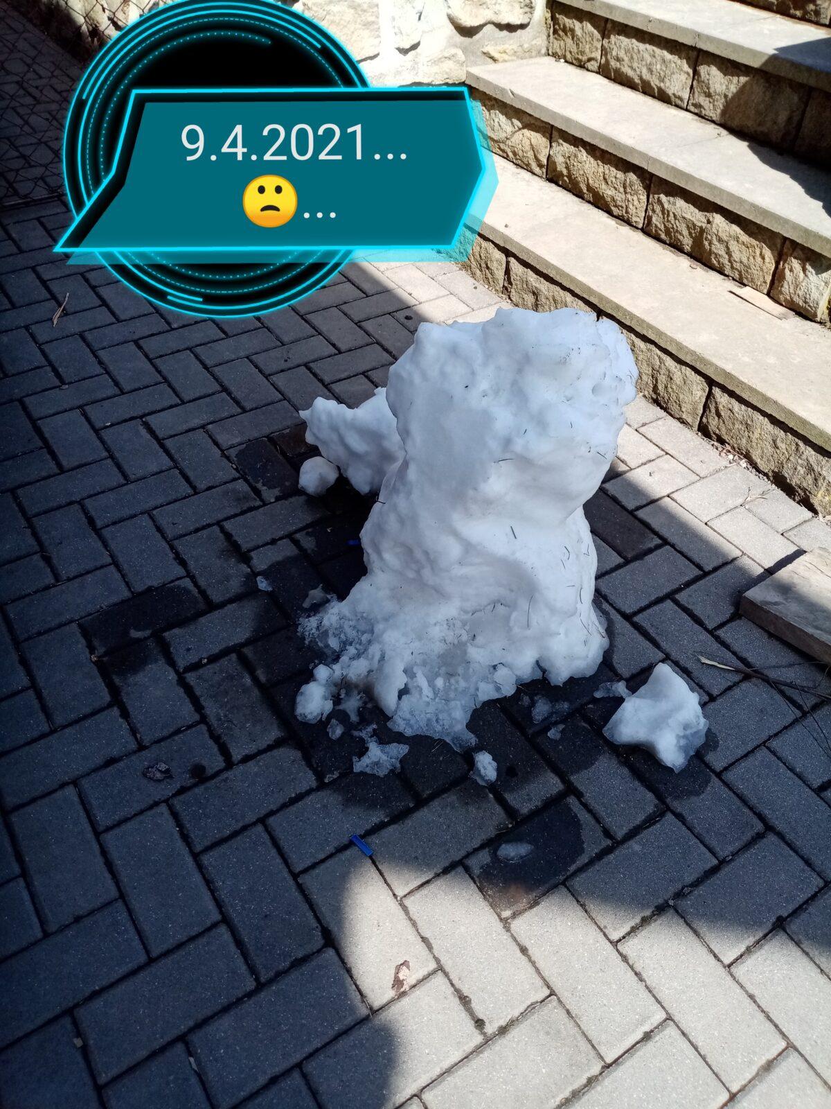 Distanční výuka - "Jarní louka, pole" (mladší děti) :-) - 13