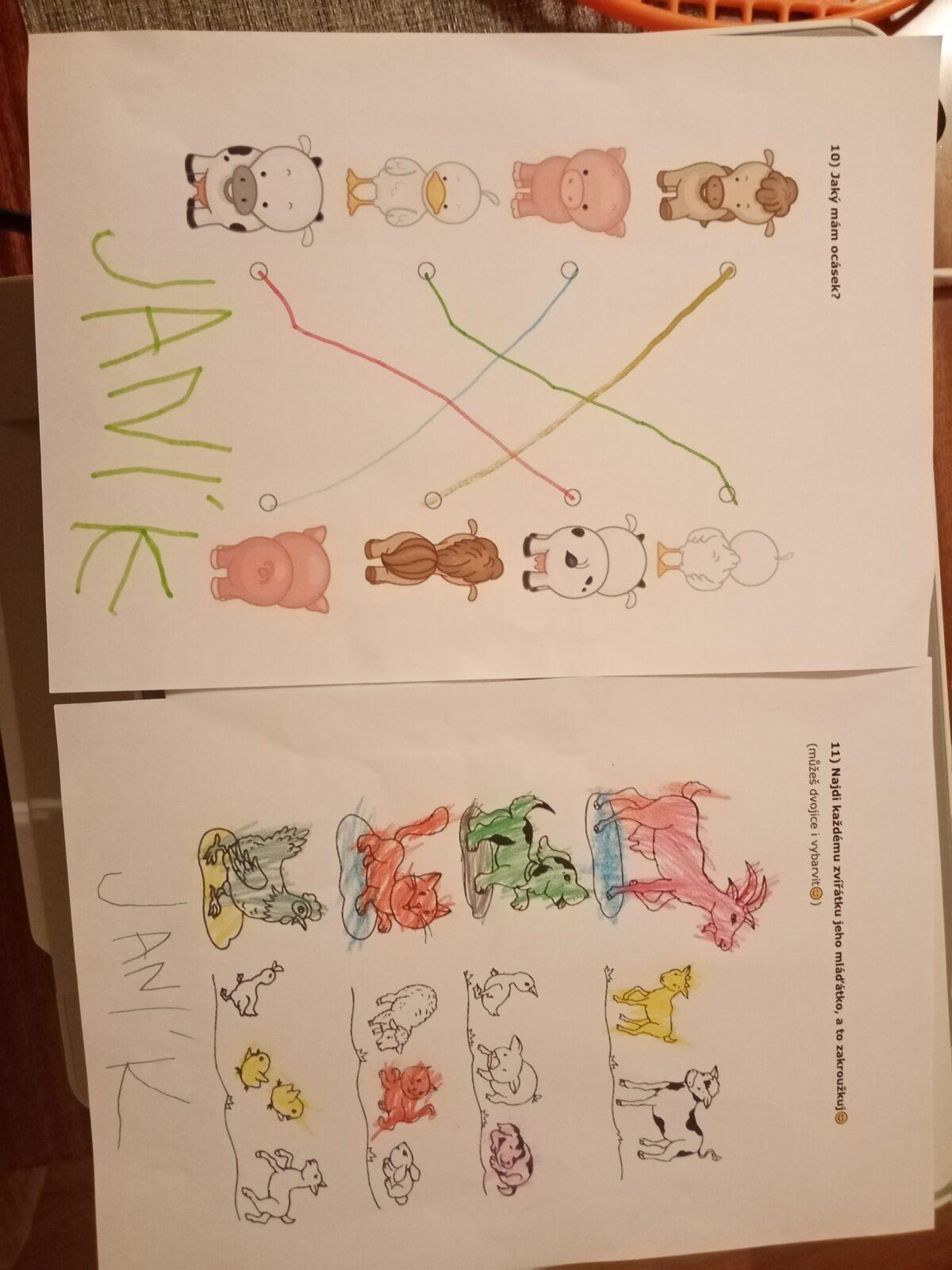 Distanční výuka - "Máme rádi zvířata I." (mladší děti) :-) - 21