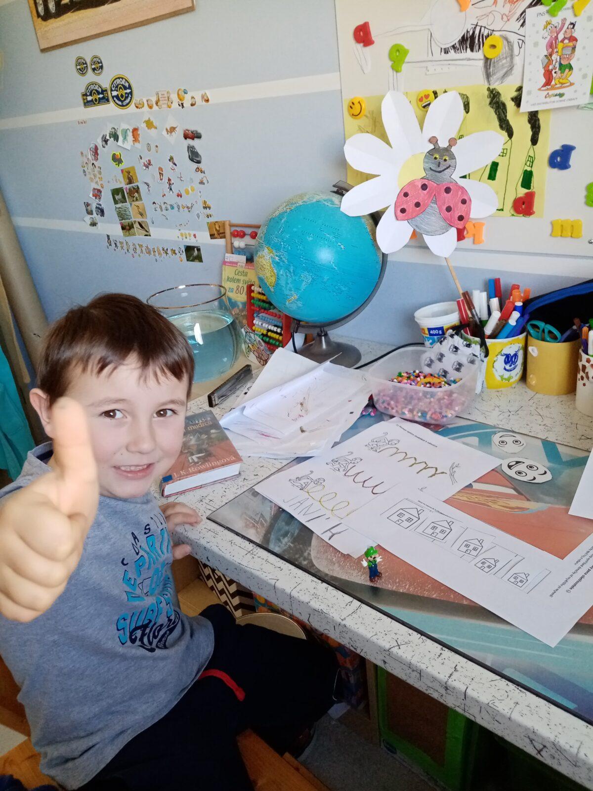 Distanční výuka - "Máme rádi zvířata II." (mladší děti) - 13