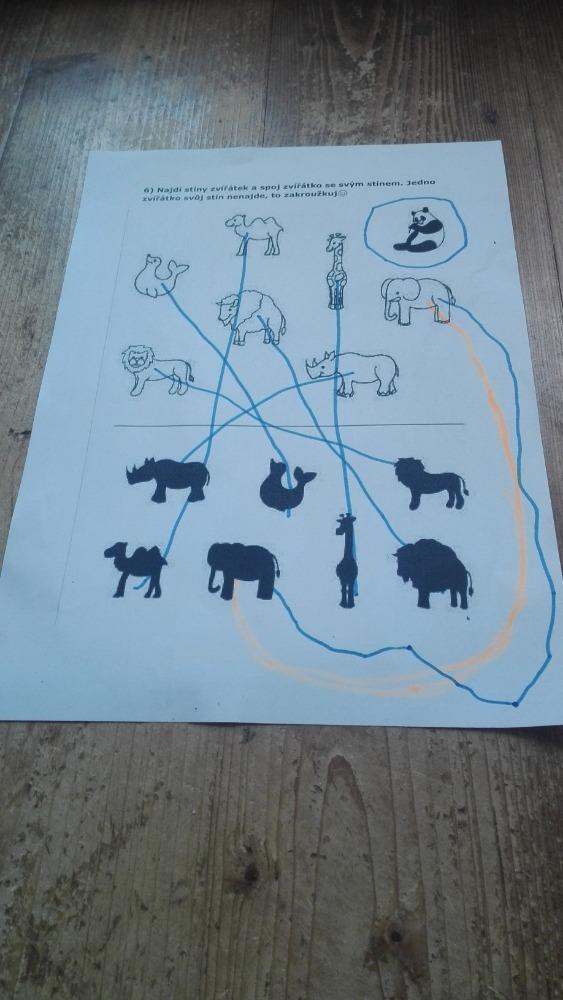 Distanční výuka - "Máme rádi zvířata II." (mladší děti) - 17