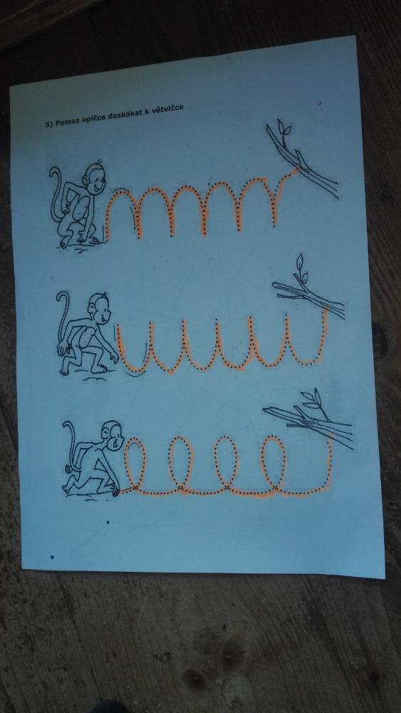 Distanční výuka - "Máme rádi zvířata II." (mladší děti) - 18