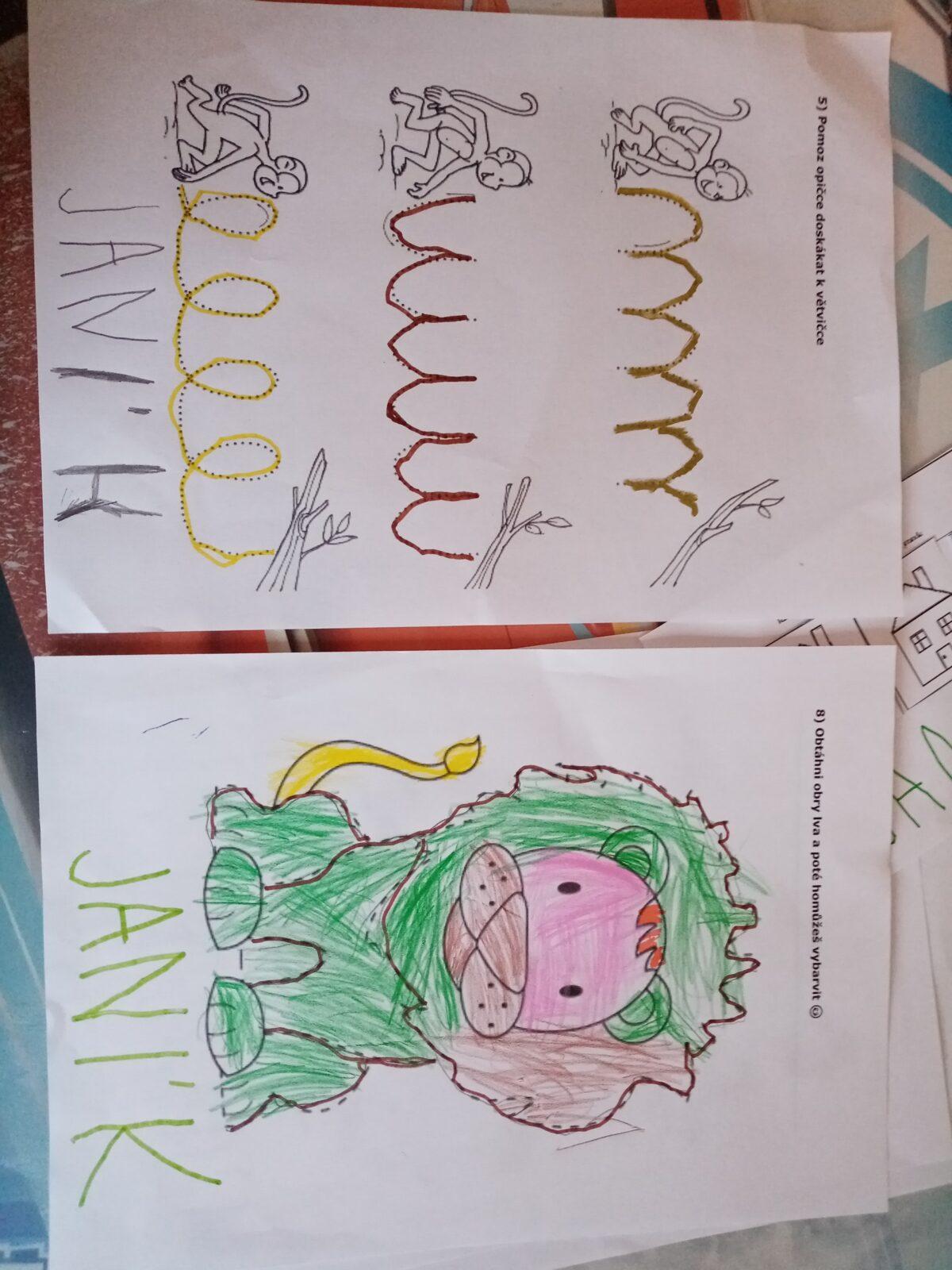 Distanční výuka - "Máme rádi zvířata II." (mladší děti) - 24