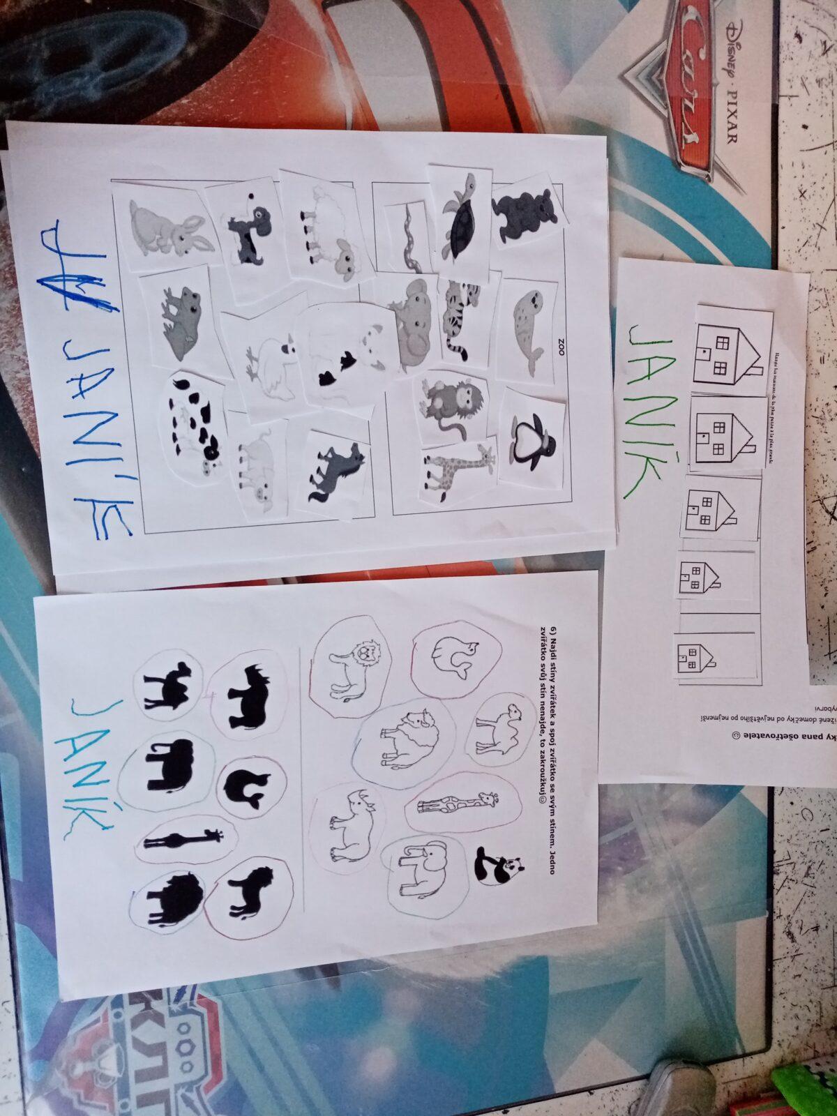 Distanční výuka - "Máme rádi zvířata II." (mladší děti) - 25