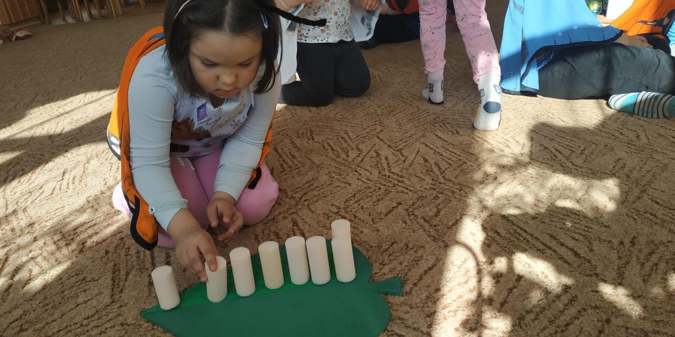 Program Motýlci - 9