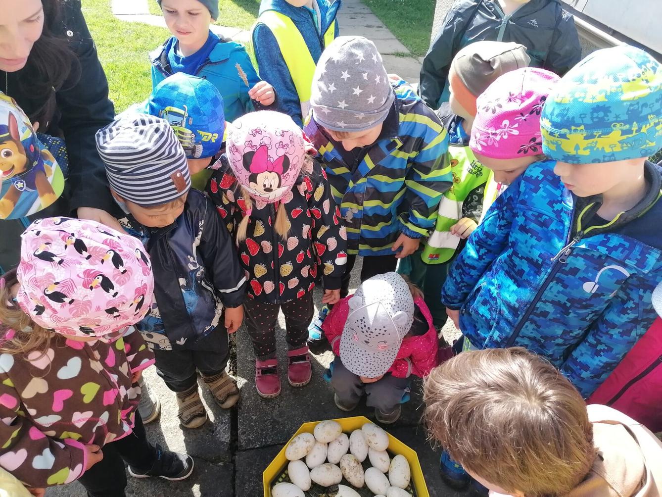 Vycházka "máme rádi zvířata" - 5