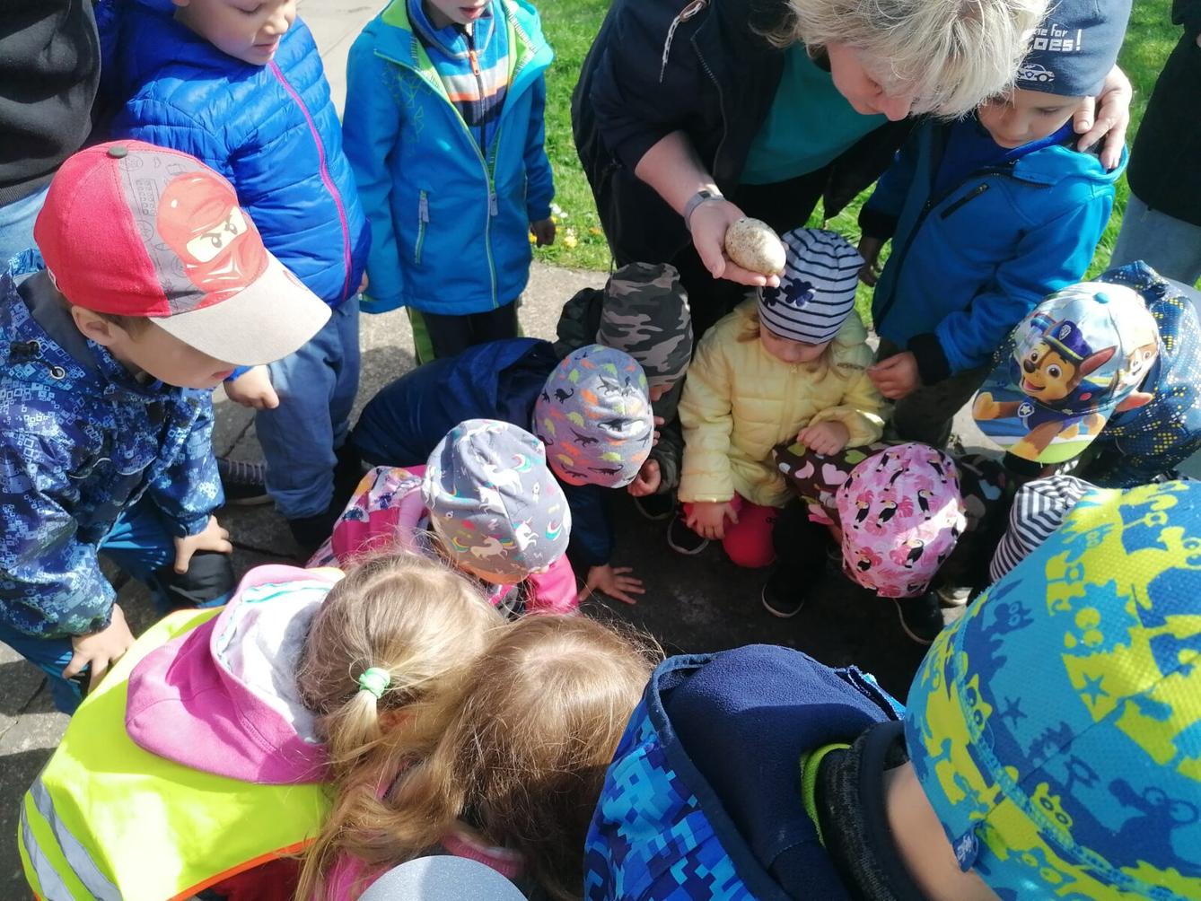 Vycházka "máme rádi zvířata" - 6