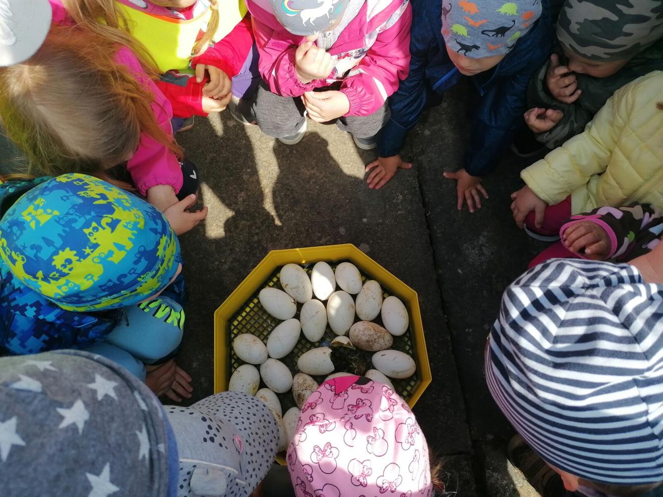 Vycházka "máme rádi zvířata" - 7