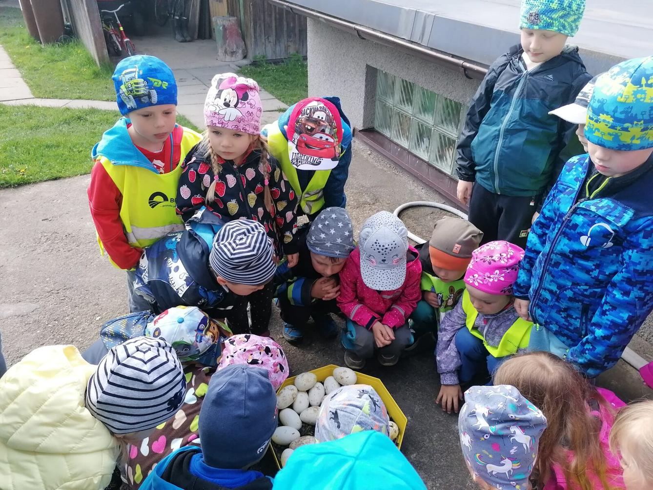 Vycházka "máme rádi zvířata" - 9