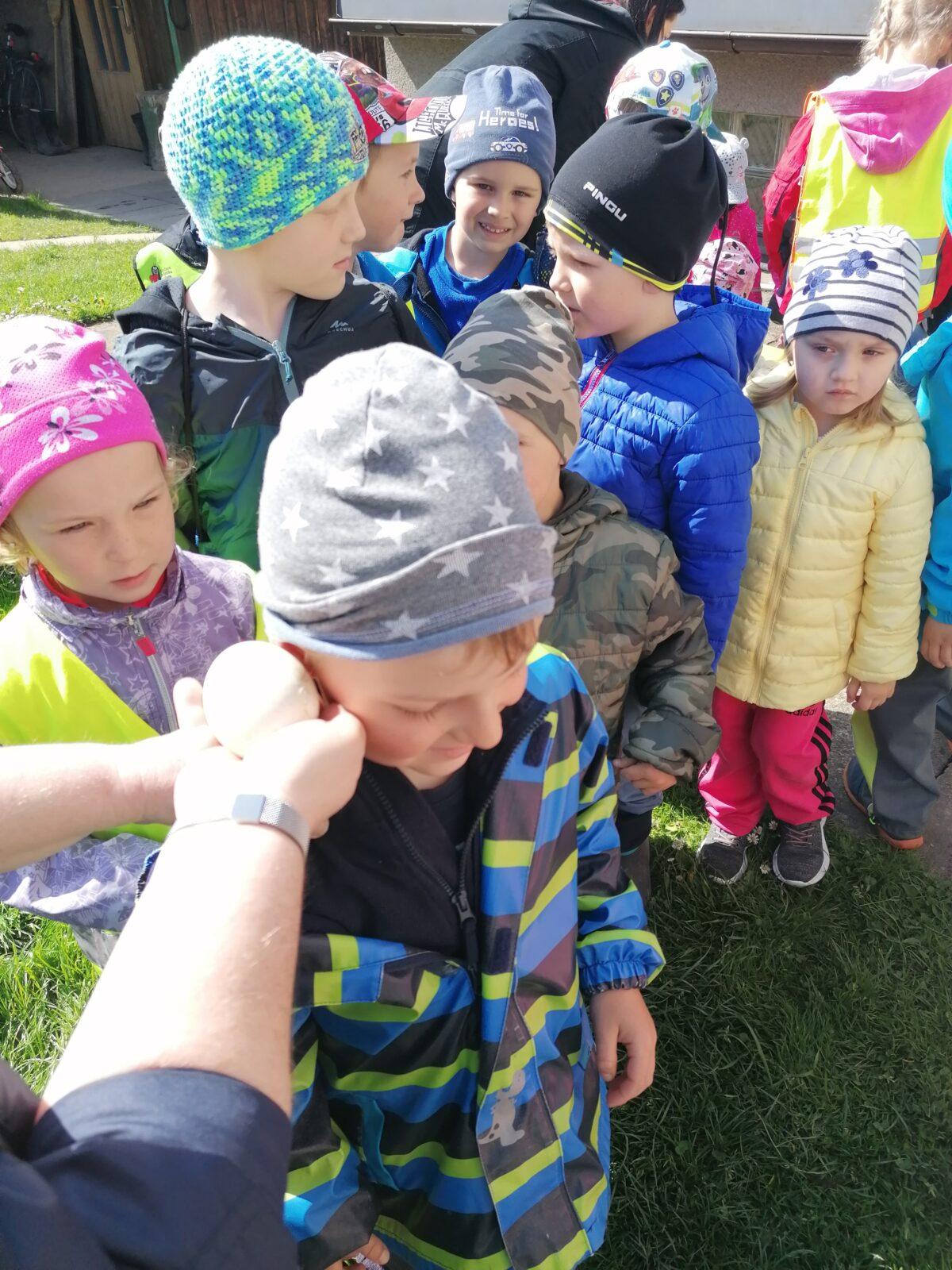 Vycházka "máme rádi zvířata" - 11