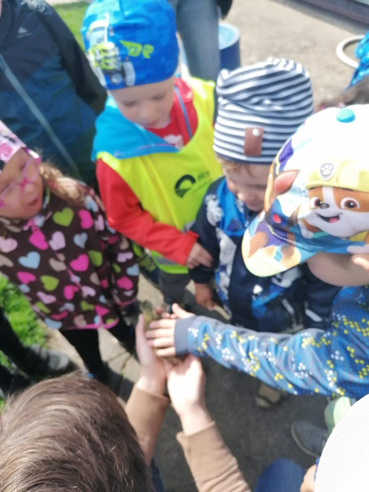 Vycházka "máme rádi zvířata" - 31