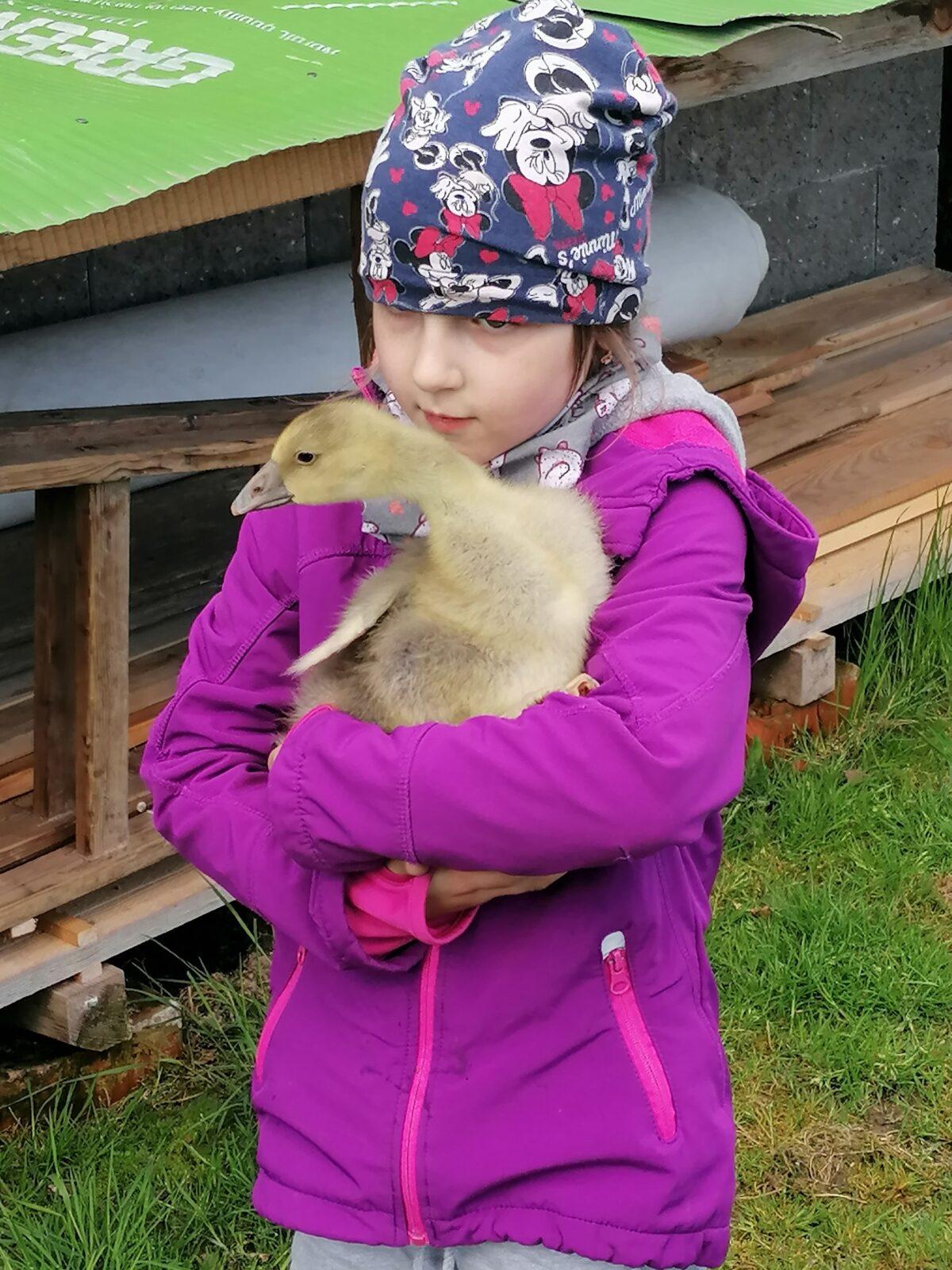 Vycházka "máme rádi zvířata" - 34