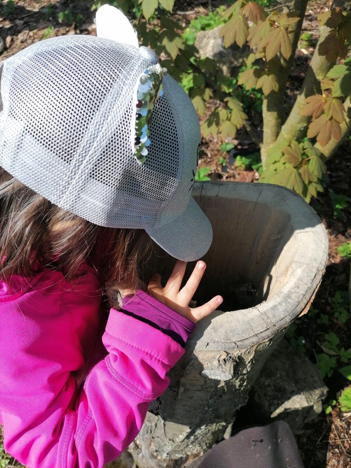 Vycházka "máme rádi zvířata" - 50