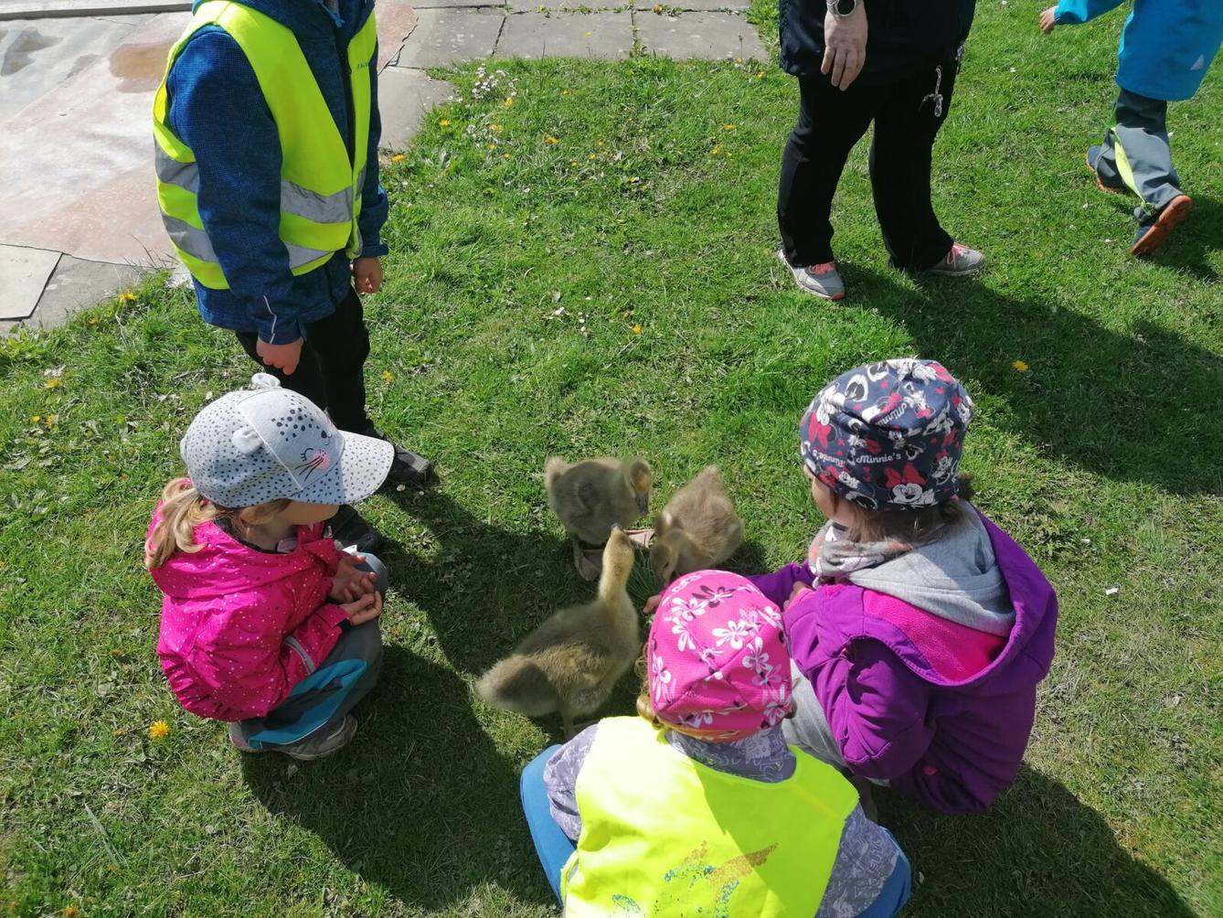 Vycházka "máme rádi zvířata" - 59
