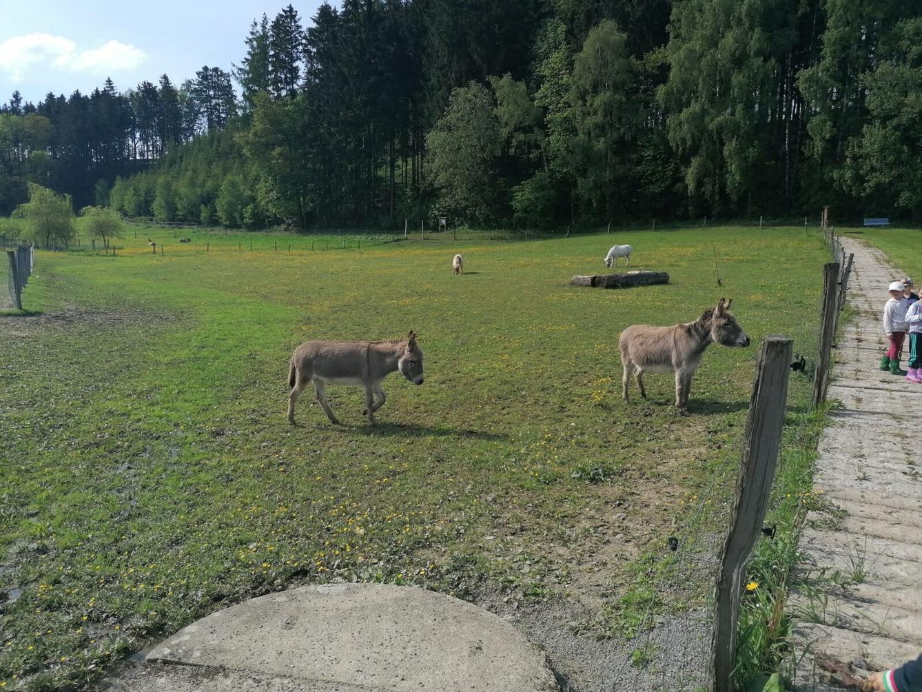 Sláva, nazdar výletu:-) (Babiččin statek - Líšnice) I. část - 62