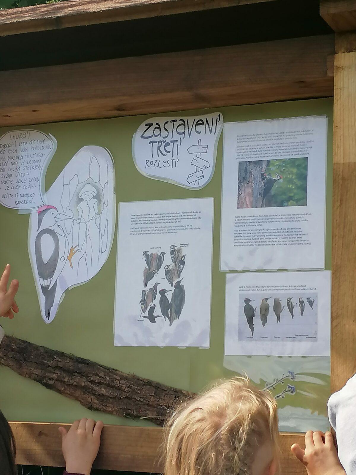 Sláva, nazdar výletu:-) (Babiččin statek - Líšnice) I. část - 73