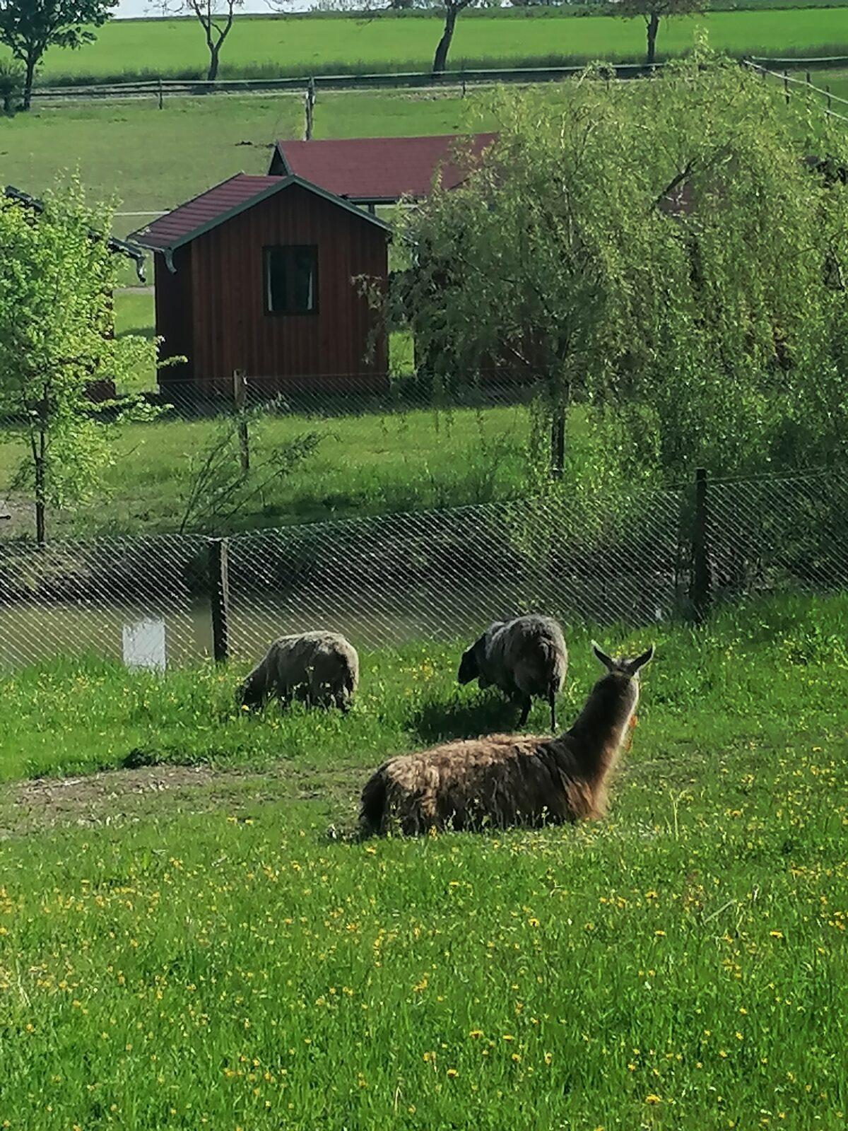 Sláva, nazdar výletu:-) (Babiččin statek - Líšnice) I. část - 75