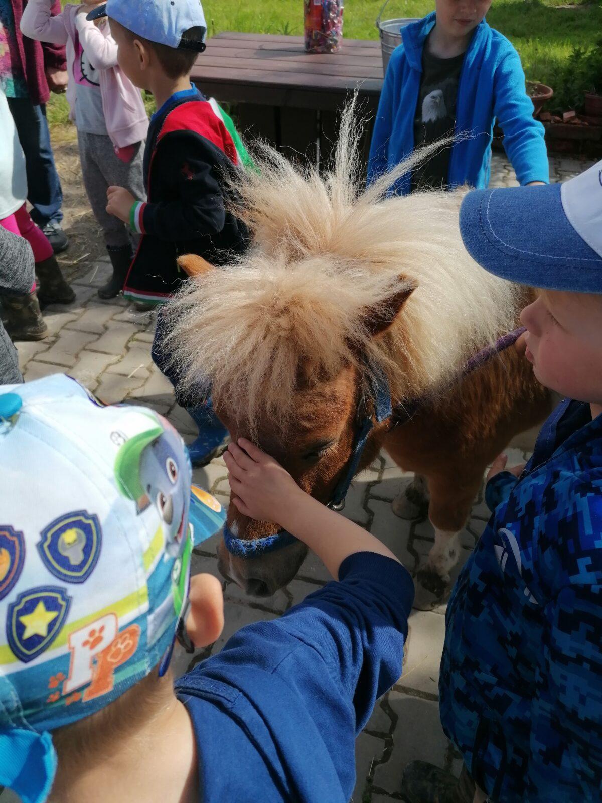 Sláva, nazdar výletu:-) (Babiččin statek - Líšnice) I. část - 86