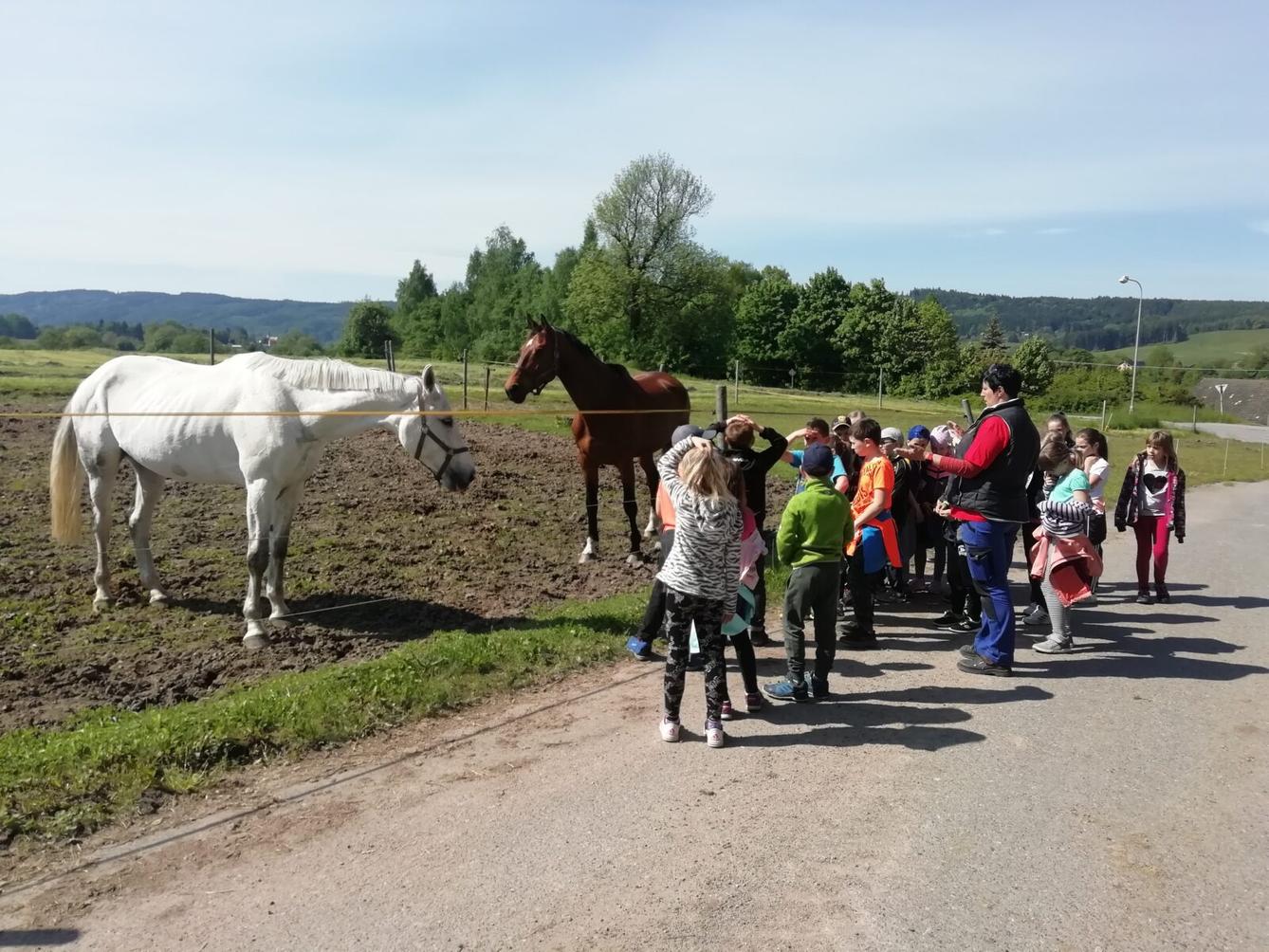 Vesmírná stezka a návštěva u koní - 15