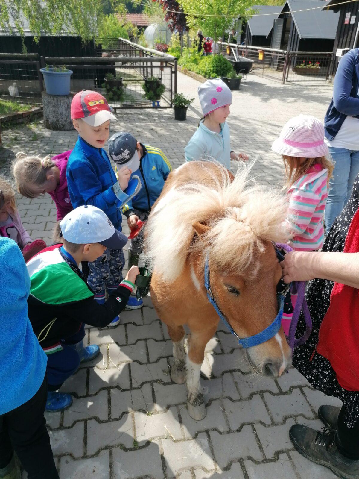 Sláva, nazdar výletu:-) (Babiččin statek - Líšnice) I. část - 91