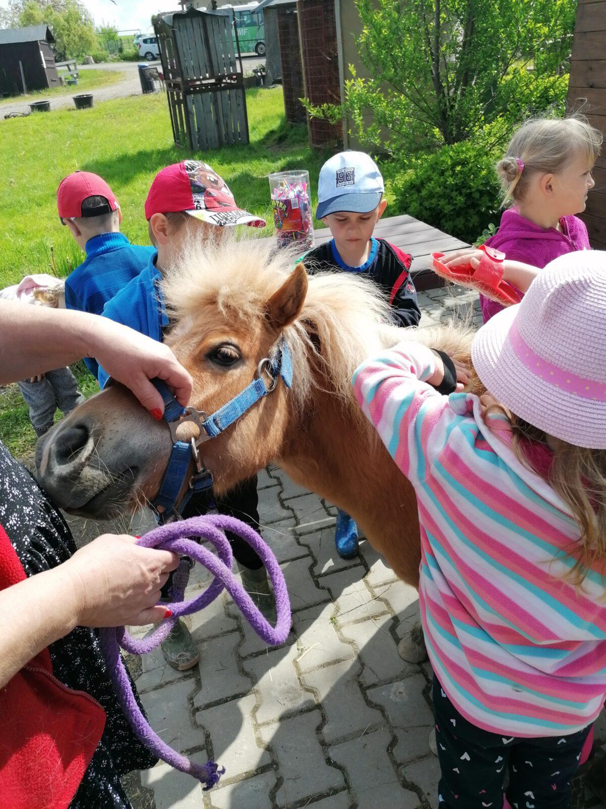 Sláva, nazdar výletu:-) (Babiččin statek - Líšnice) I. část - 92