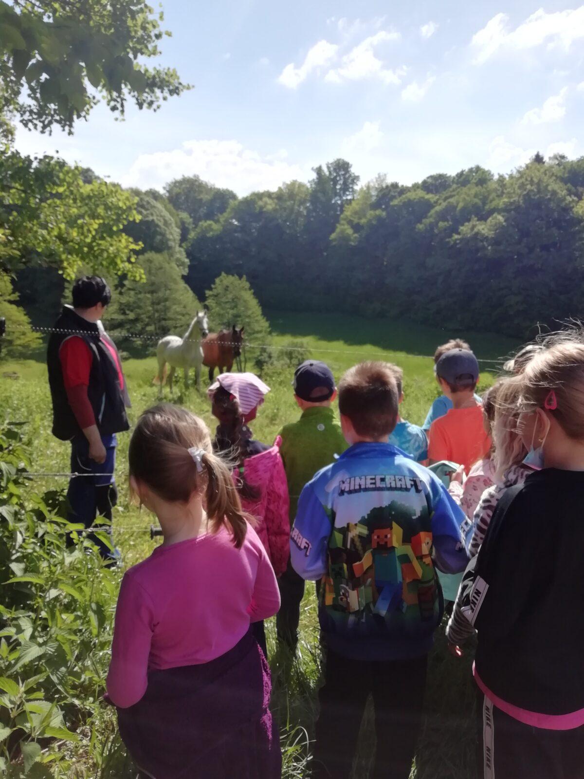 Vesmírná stezka a návštěva u koní - 16