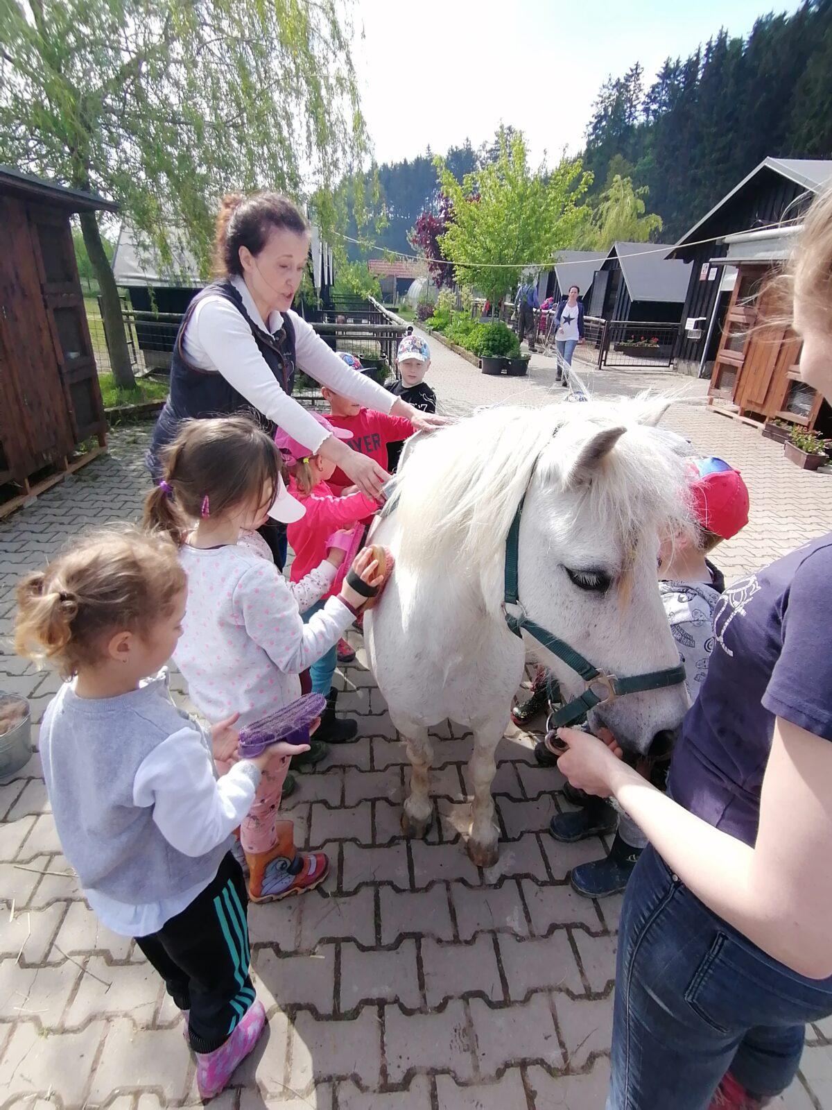Sláva, nazdar výletu:-) (Babiččin statek - Líšnice) I. část - 103