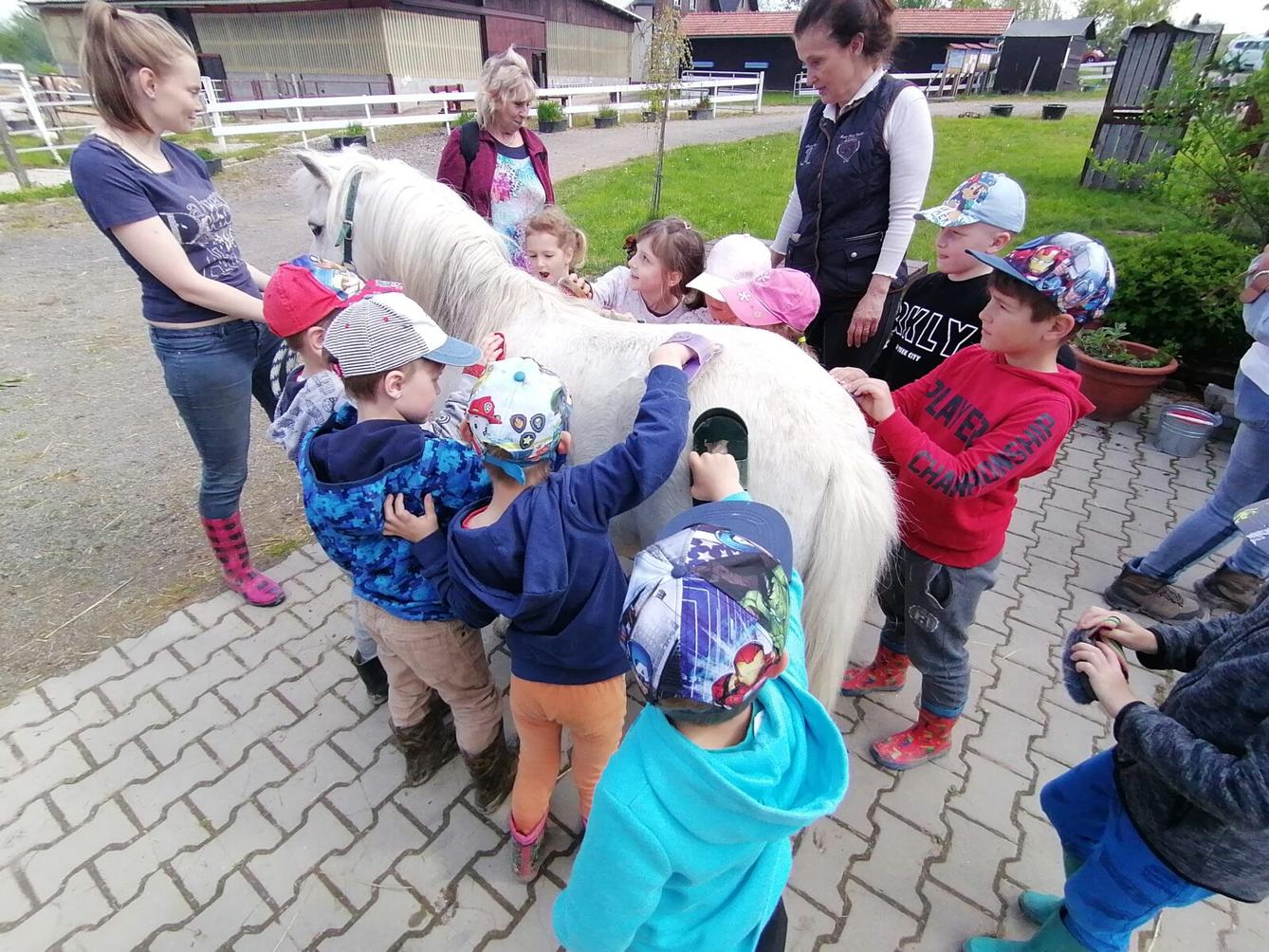 Sláva, nazdar výletu:-) (Babiččin statek - Líšnice) I. část - 104