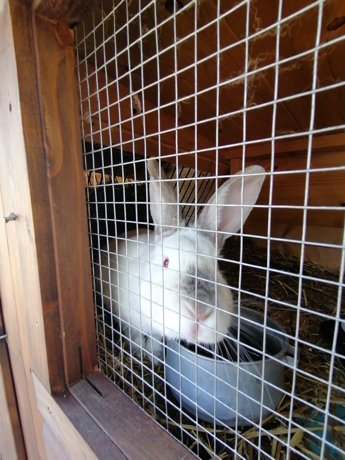 Sláva, nazdar výletu:-) (Babiččin statek - Líšnice) I. část - 112